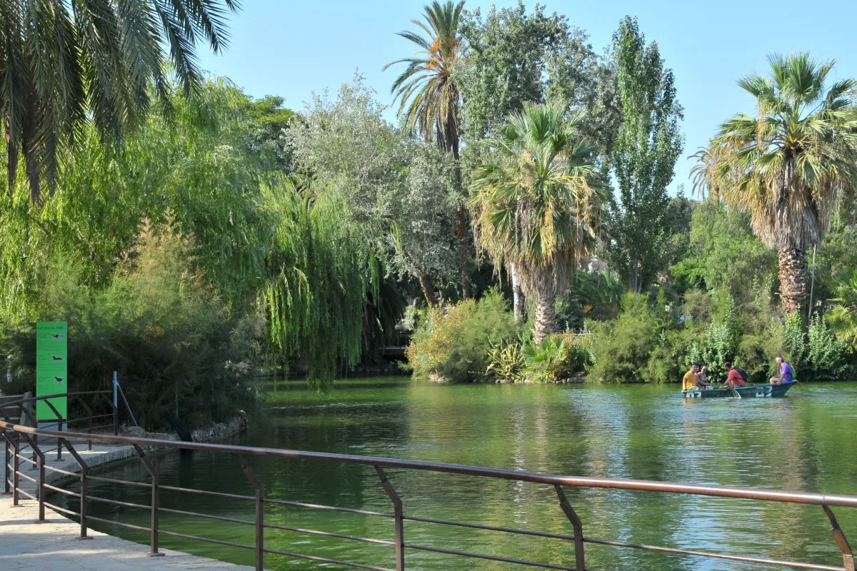 Green park with a lake and rowing boat in Barcelona