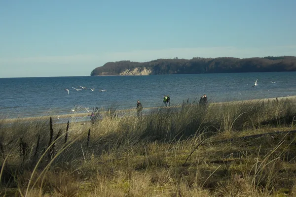 Walkers on a coast with dunes, sea and gulls